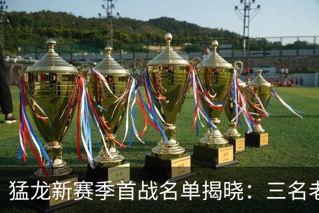 猛龙新赛季首战名单揭晓：三名老将经验丰富